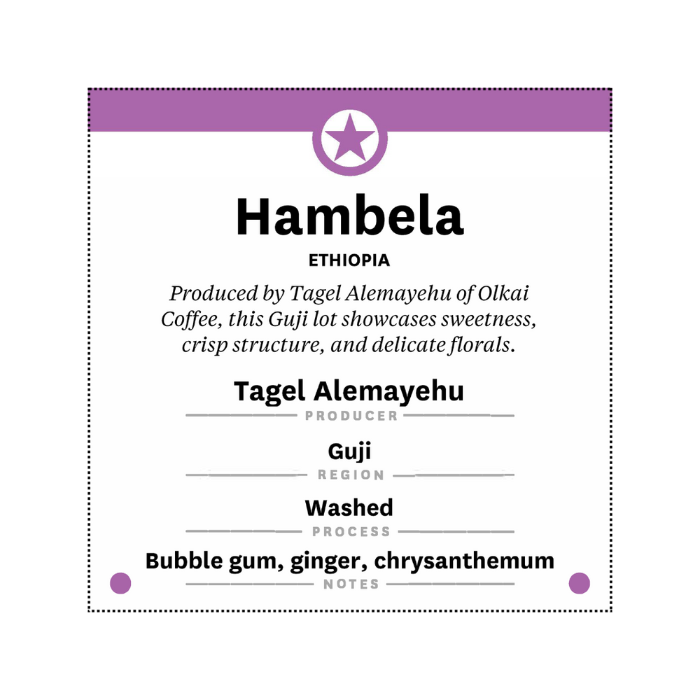 Ethiopia - Hambela Alemayehu