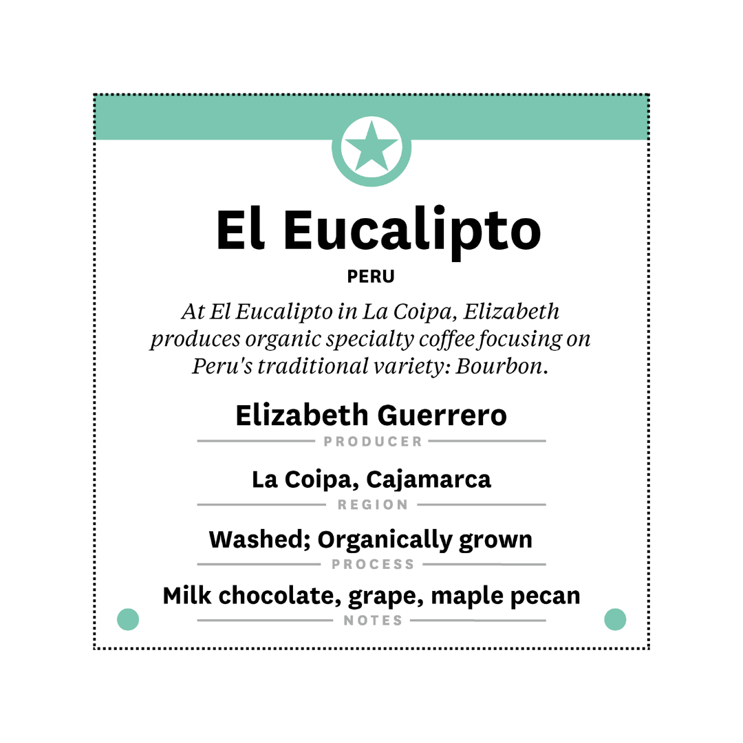 
                  
                    Peru - El Eucalipto
                  
                