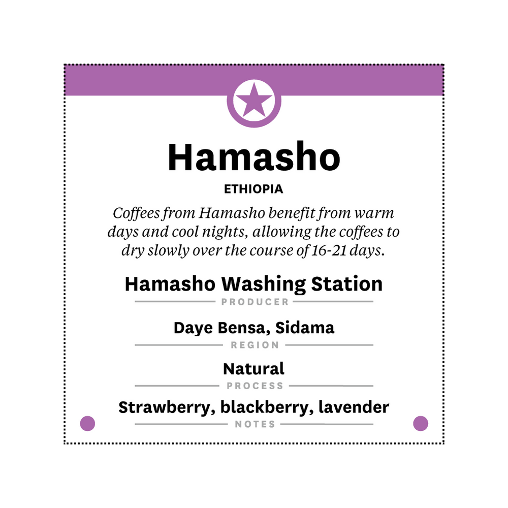 Ethiopia - Hamasho Natural